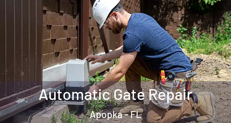  Automatic Gate Repair Apopka - FL