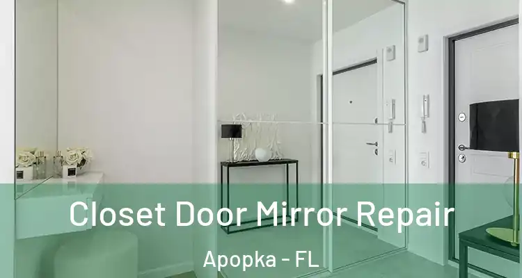  Closet Door Mirror Repair Apopka - FL