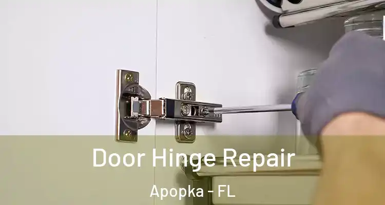 Door Hinge Repair Apopka - FL