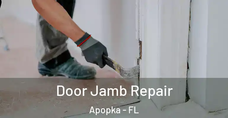  Door Jamb Repair Apopka - FL