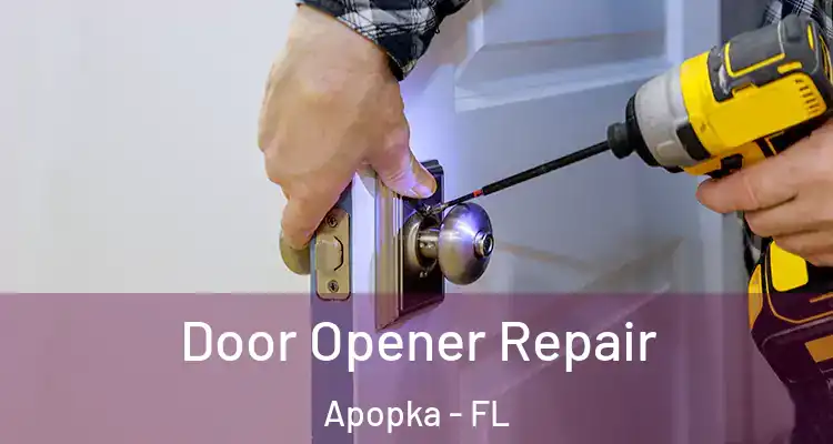  Door Opener Repair Apopka - FL