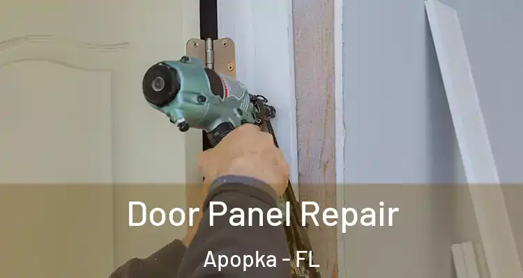  Door Panel Repair Apopka - FL