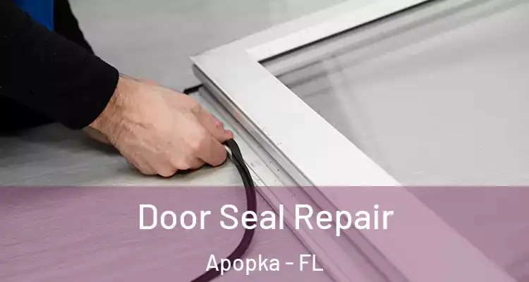  Door Seal Repair Apopka - FL