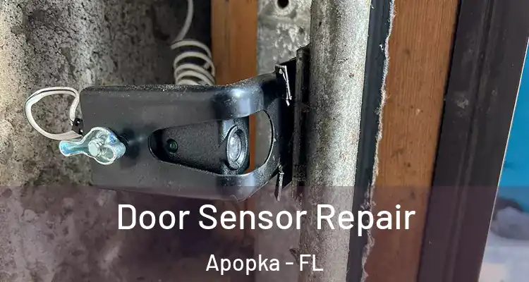  Door Sensor Repair Apopka - FL
