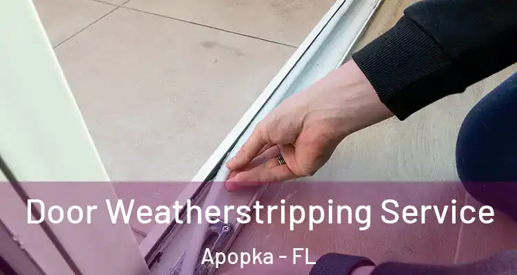  Door Weatherstripping Service Apopka - FL
