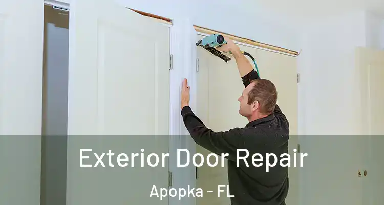  Exterior Door Repair Apopka - FL