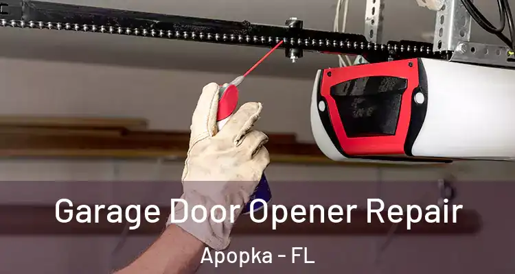  Garage Door Opener Repair Apopka - FL