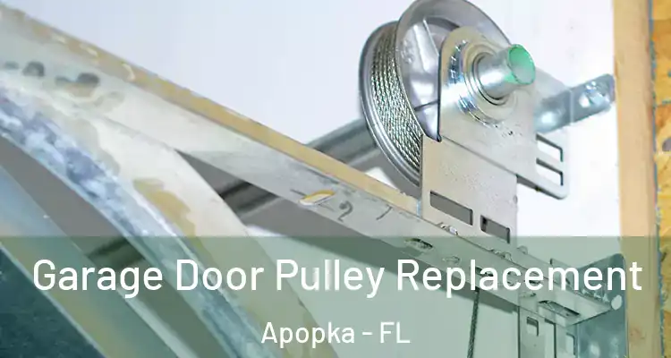  Garage Door Pulley Replacement Apopka - FL