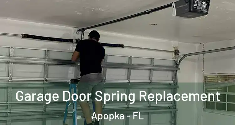  Garage Door Spring Replacement Apopka - FL
