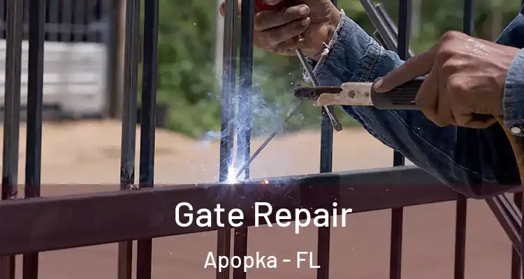  Gate Repair Apopka - FL