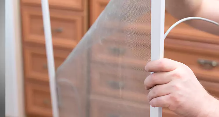 Privacy Mesh Screen Door Installation in Apopka, FL