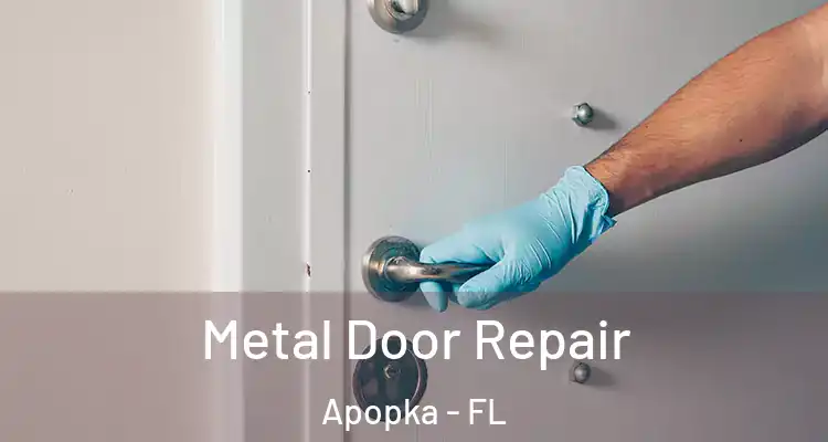  Metal Door Repair Apopka - FL