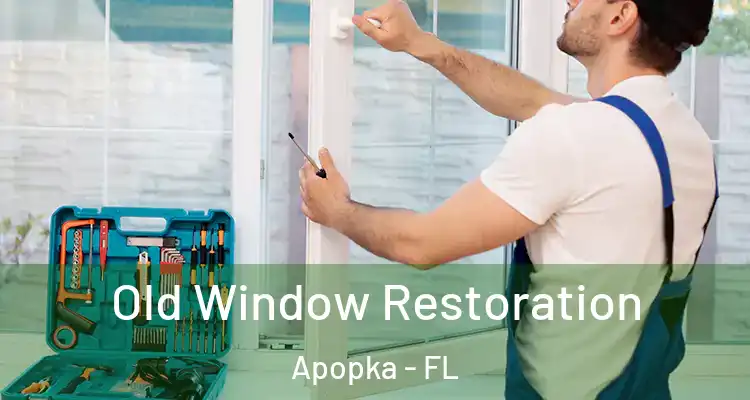  Old Window Restoration Apopka - FL