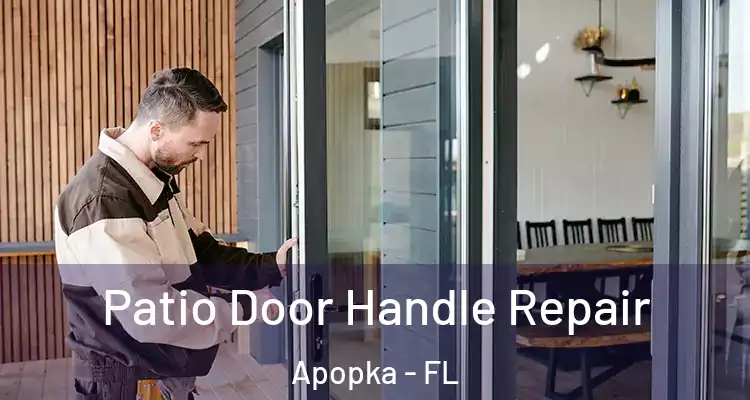  Patio Door Handle Repair Apopka - FL