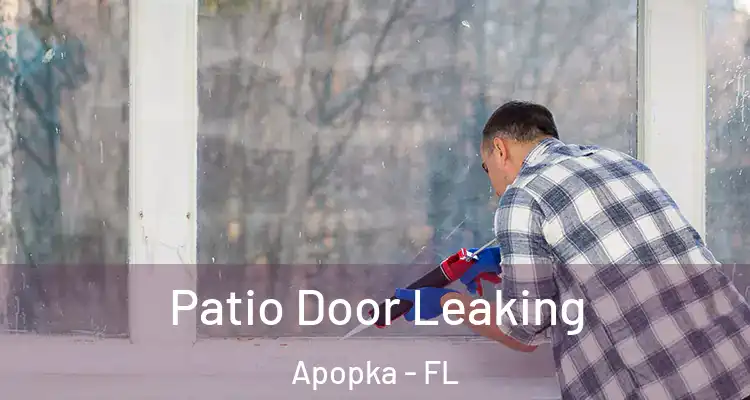  Patio Door Leaking Apopka - FL