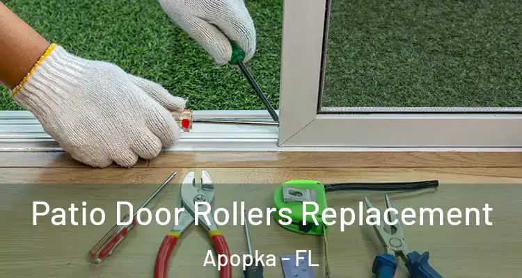  Patio Door Rollers Replacement Apopka - FL