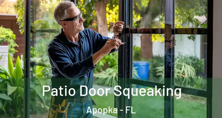  Patio Door Squeaking Apopka - FL