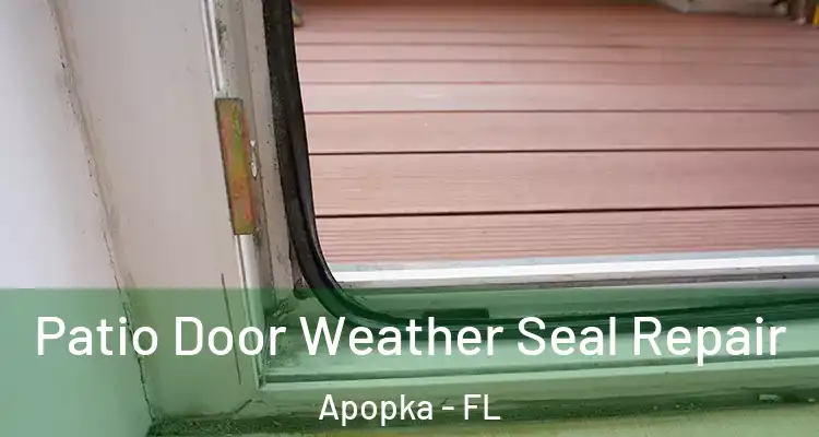  Patio Door Weather Seal Repair Apopka - FL
