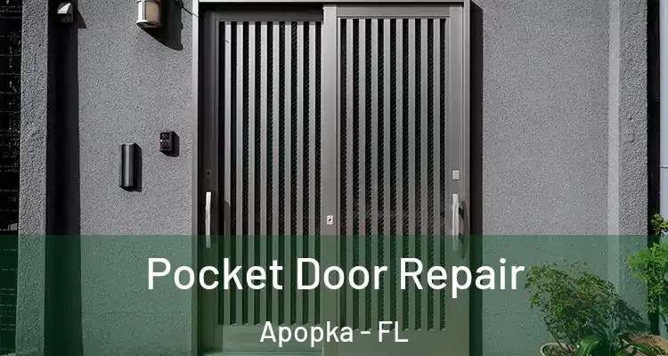  Pocket Door Repair Apopka - FL