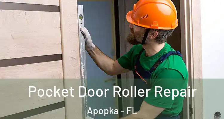  Pocket Door Roller Repair Apopka - FL