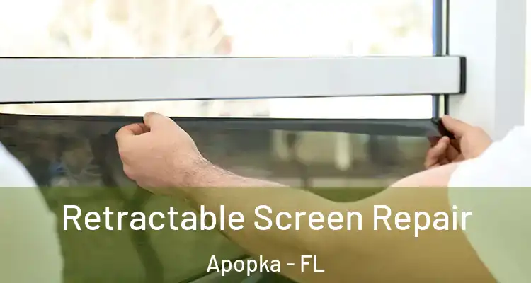  Retractable Screen Repair Apopka - FL