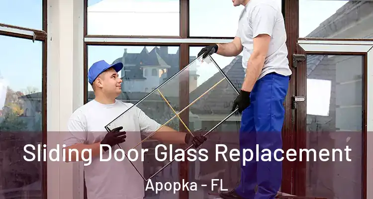  Sliding Door Glass Replacement Apopka - FL