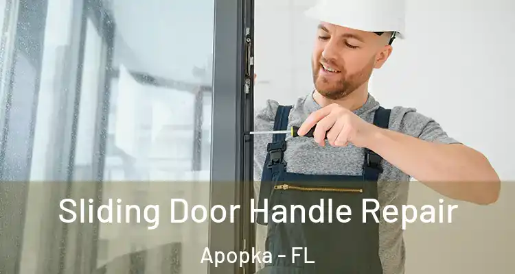  Sliding Door Handle Repair Apopka - FL