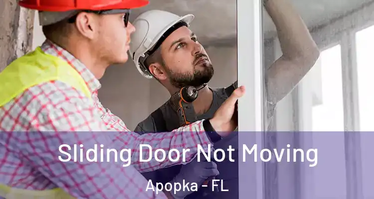  Sliding Door Not Moving Apopka - FL