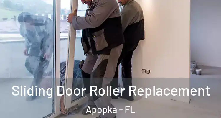  Sliding Door Roller Replacement Apopka - FL
