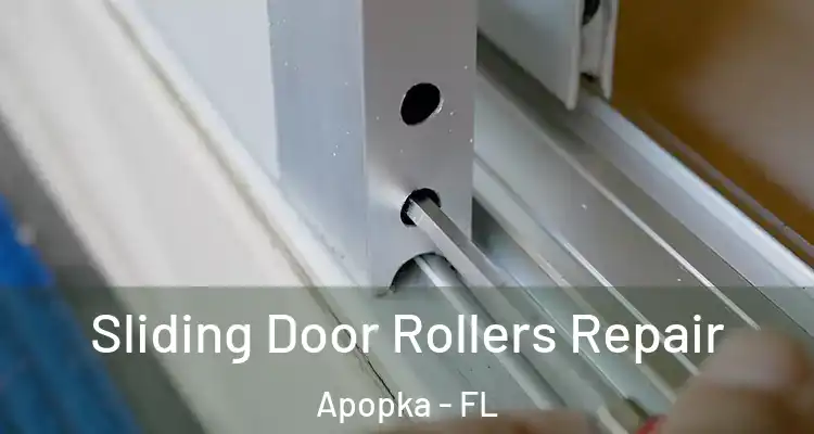  Sliding Door Rollers Repair Apopka - FL