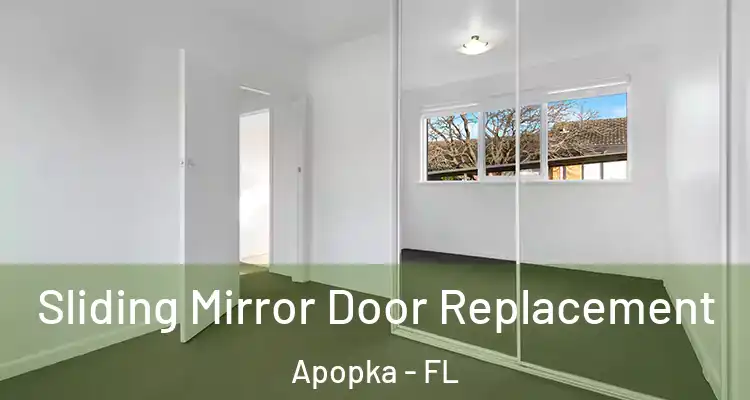  Sliding Mirror Door Replacement Apopka - FL