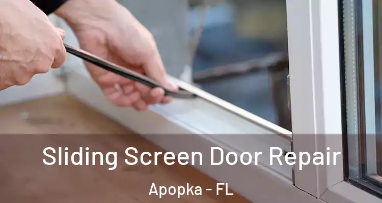  Sliding Screen Door Repair Apopka - FL