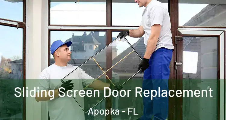  Sliding Screen Door Replacement Apopka - FL
