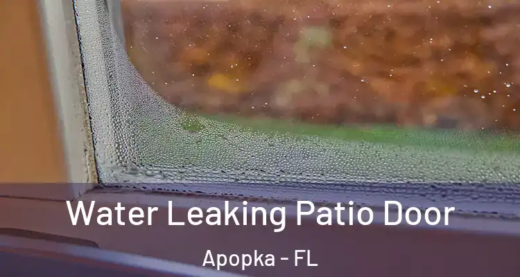  Water Leaking Patio Door Apopka - FL