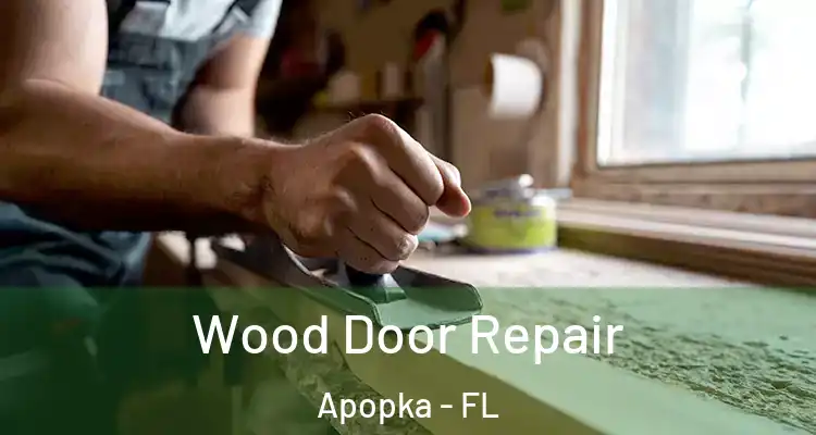  Wood Door Repair Apopka - FL